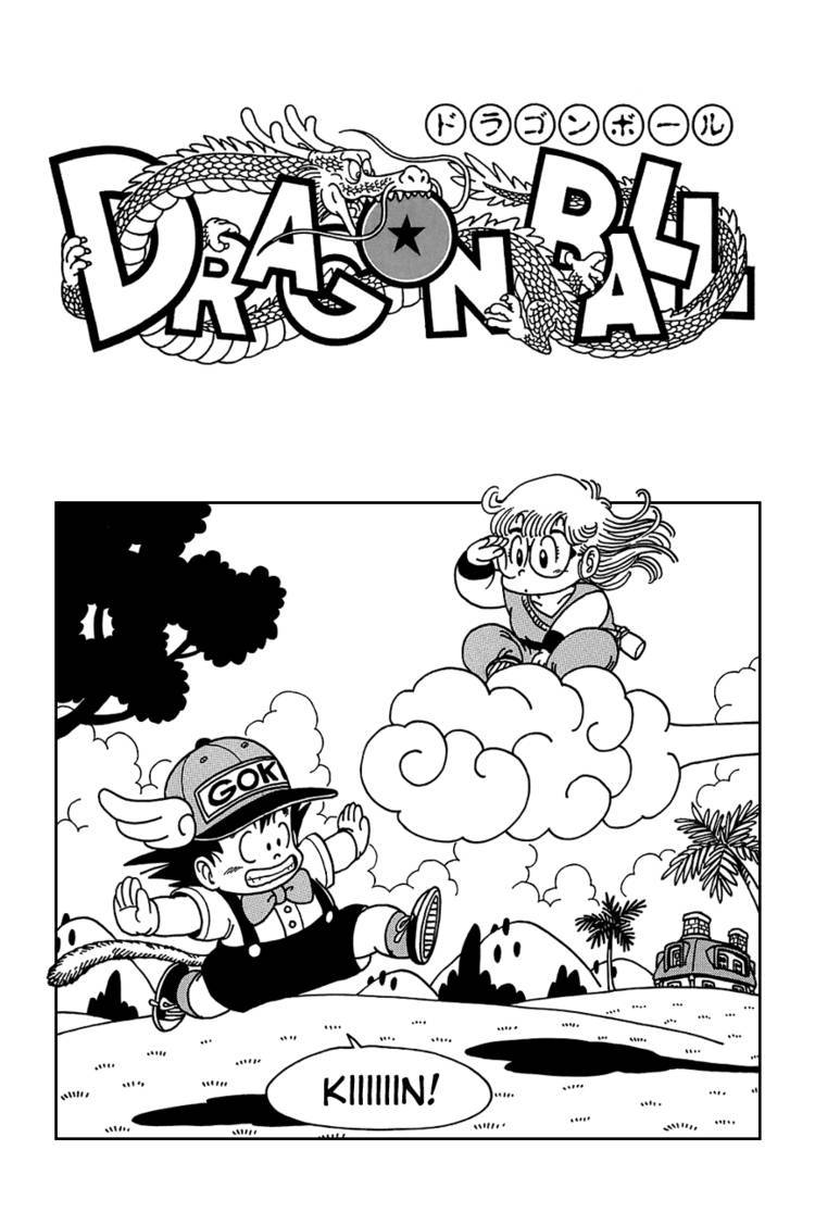 Dragon Ball Chapter 75.089 239